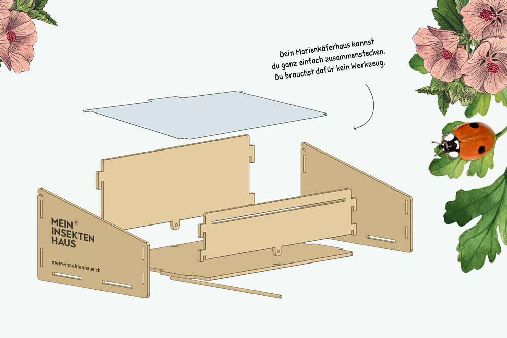 Schematische Bauanleitung, Lieferumfang, Illustrationen – Marienkäferhaus, byminz Naturprodukte, Luzern