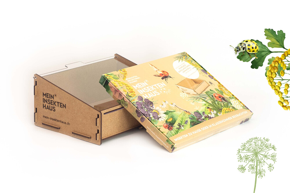 Marienkäferhaus zusammengebaut, Versandverpackung und Illustrationen – Marienkäferhaus, byminz Naturprodukte, Luzern