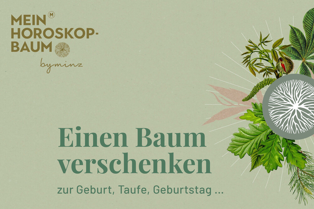 Impression zum Verschenken eines Baumes zur Geburt, Taufe, Hochzeit, zum Geburtstag – Jungbäume, byminz Naturprodukte, Luzern 