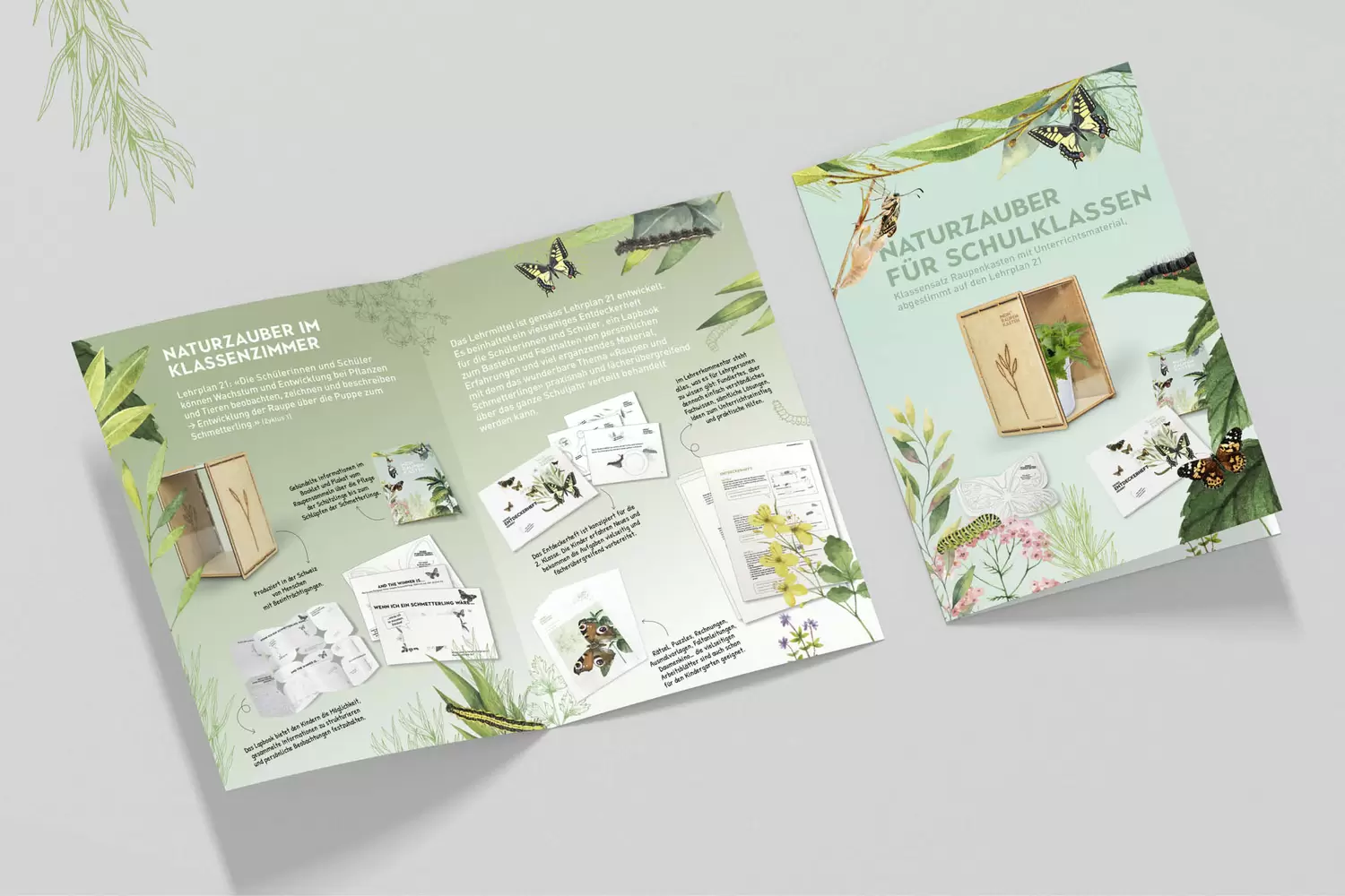 Informationsflyer für Schulklassen und Lehrpersonen, Lehrmittel – Mein Raupenkasten, byminz Naturprodukte, Luzern