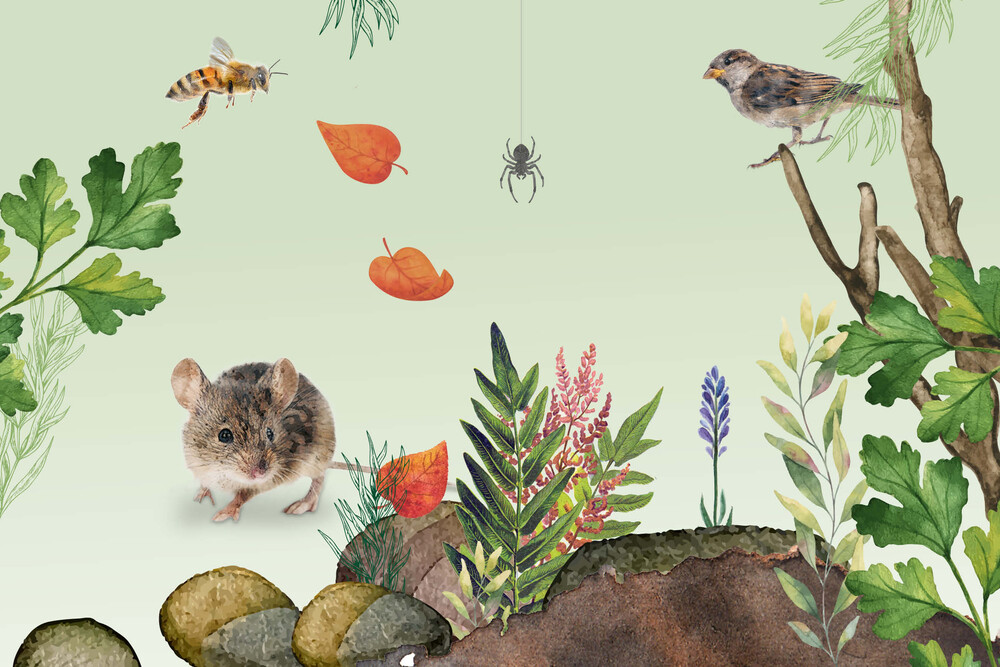 Unterrichtsmaterial – «Tierische Lebensräume» NMG-Lehrmittel