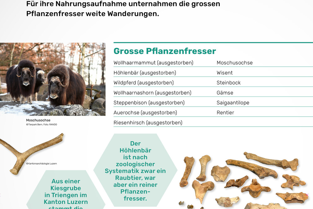 Detail Infostele auf dem Erlebnisrundgang – Kulturabenteuer «Kieswerk Ballwil»