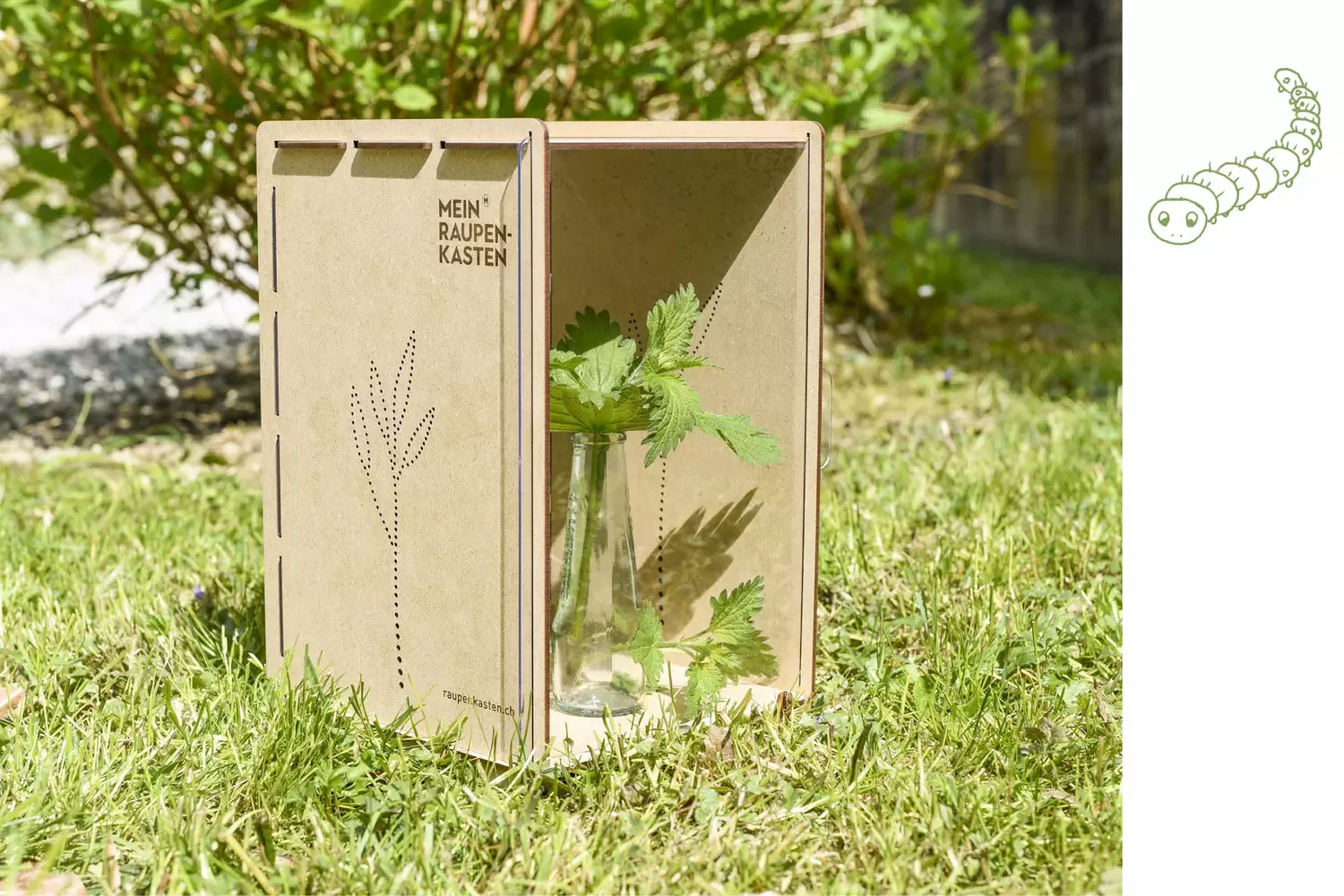 Raupenkasten und Illustration Raupe – Mein Raupenkasten, byminz Naturprodukte, Luzern
