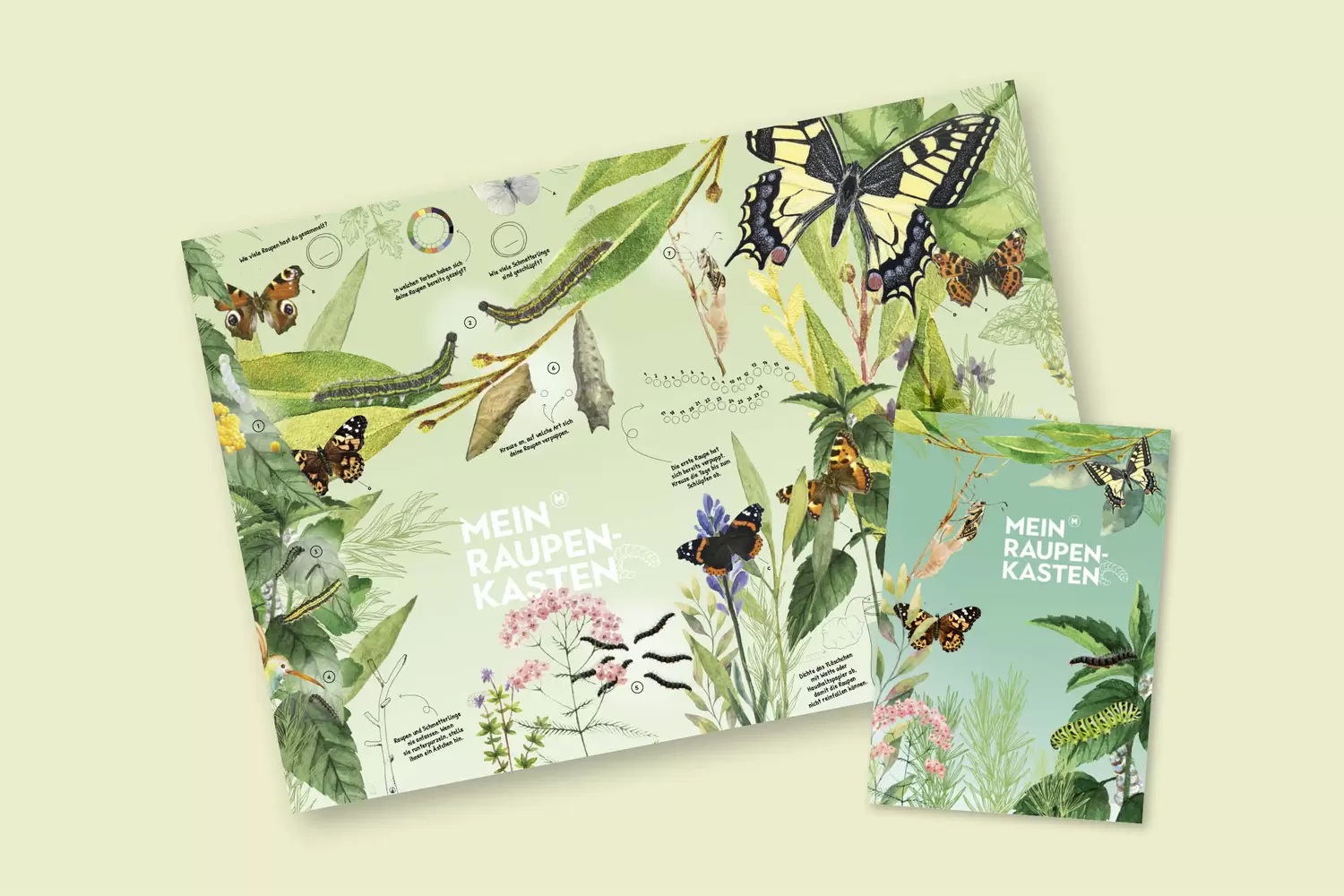 Poster und Infoflyer «Mein Raupenkasten» mit verschiedenen Raupen- und Schmetterlingsarten, Wimmelbild – Mein Raupenkasten, byminz Naturprodukte, Luzern