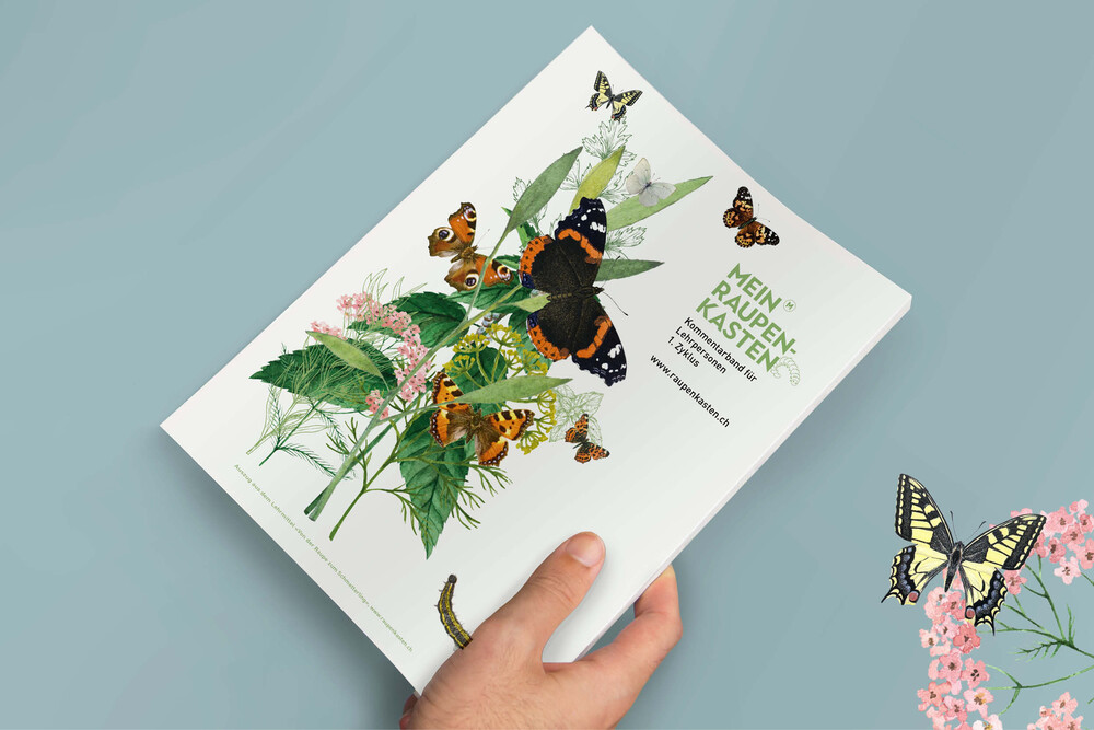 Lehrpersonenkommentar – «Raupe-Schmetterling» NMG-Lehrmittel