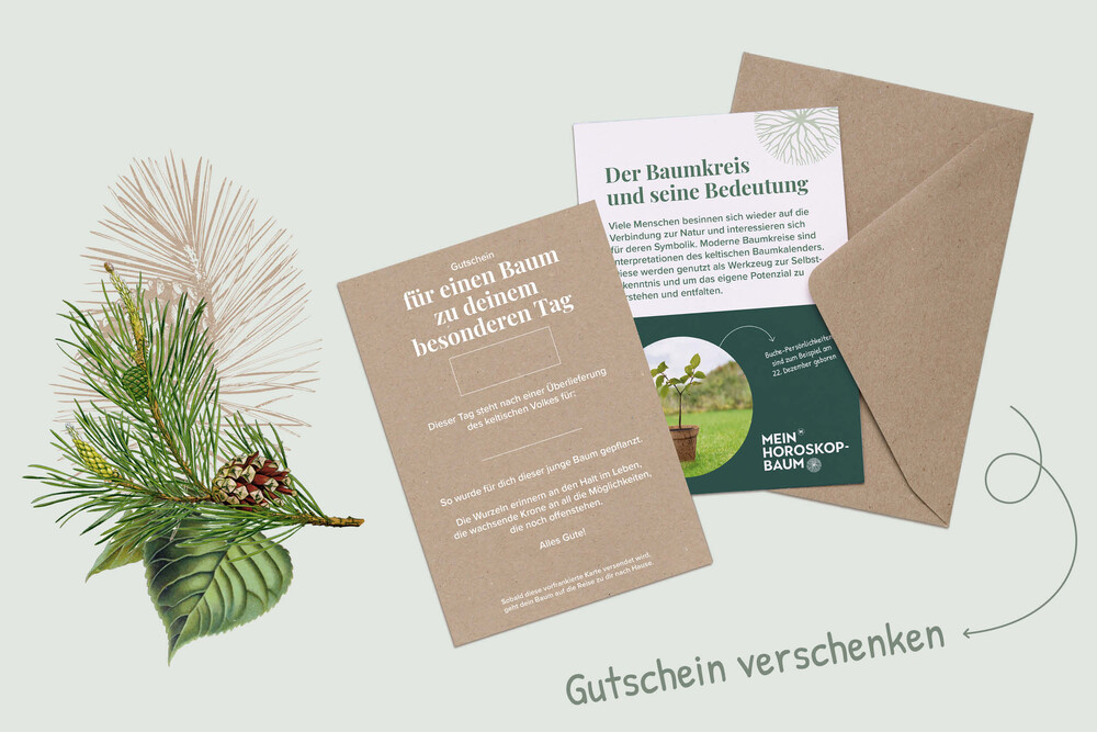 Gutschein zum Baumgeschenk, Geburtsgeschenk, Illustration – Jungbäume, byminz Naturprodukte, Luzern