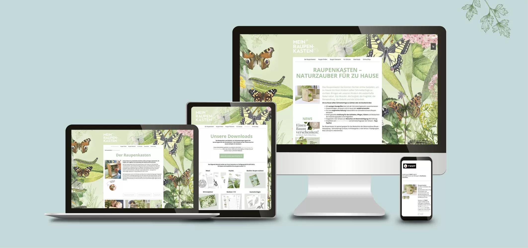 Webseite mit Informationen und Lehrmittelunterlagen – Mein Raupenkasten, byminz Naturprodukte, Luzern