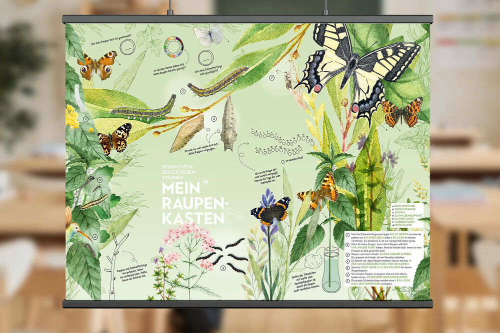 Wimmelbild Plakat – «Raupe-Schmetterling» NMG-Lehrmittel