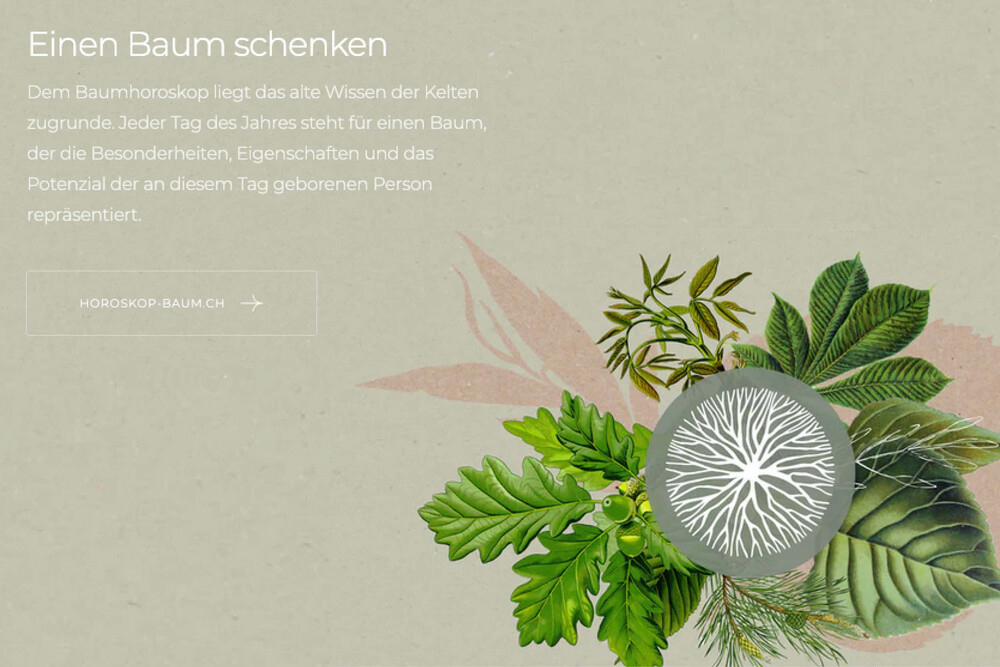 Detail Baum schenken – Webshop byminz Naturprodukte, Luzern