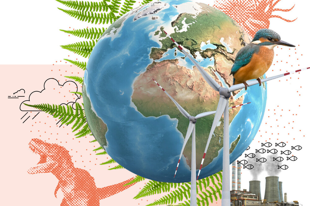 Collage – Naturhistorisches Museum Bern Lehrmittel «Mensch, Erde! – Das Klima im Wandel» 