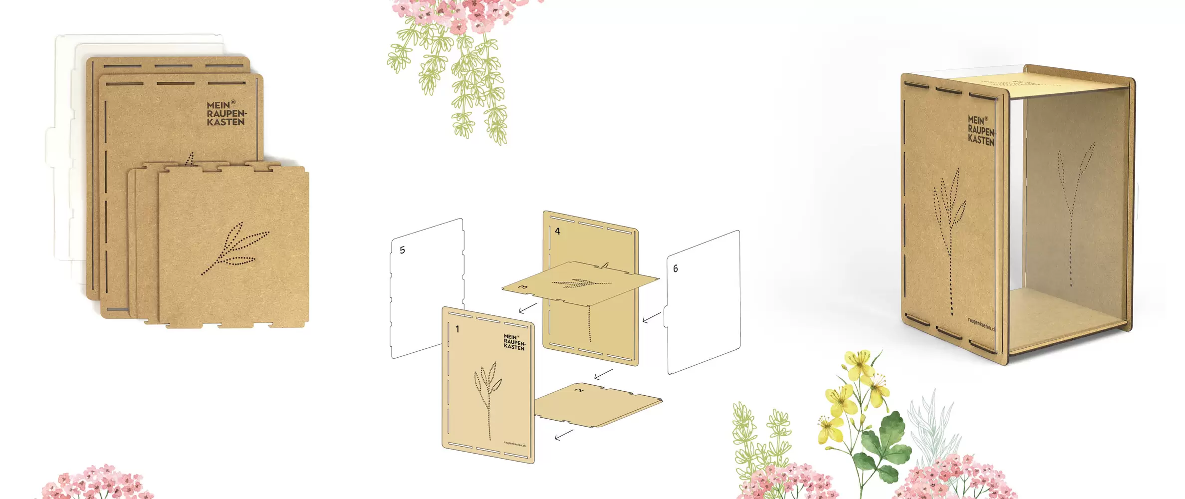 Bauanleitung Raupenkasten zusammenbauen – Mein Raupenkasten, byminz Naturprodukte, Luzern