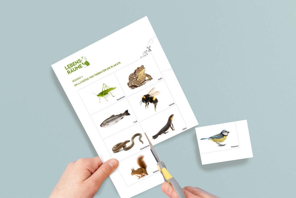 Memory – «Tierische Lebensräume» NMG-Lehrmittel