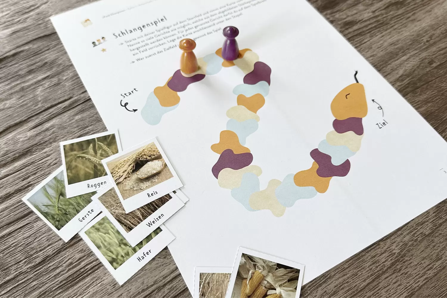 Lernspiel – Lehrmittel «Food Champions» von Fit4Future