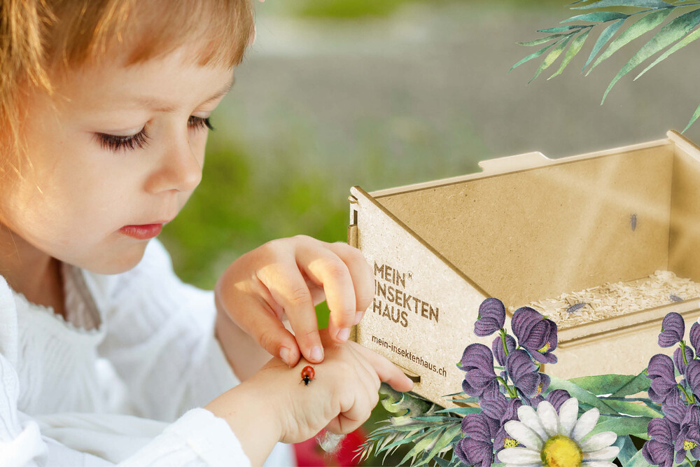 Kind mit Marienkäfer, Marienkäferhaus, Illustrationen – Marienkäferhaus, byminz Naturprodukte, Luzern