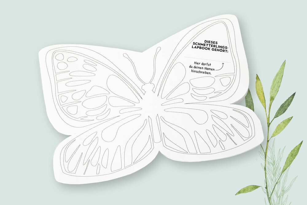 Lapbook – «Raupe-Schmetterling» NMG-Lehrmittel