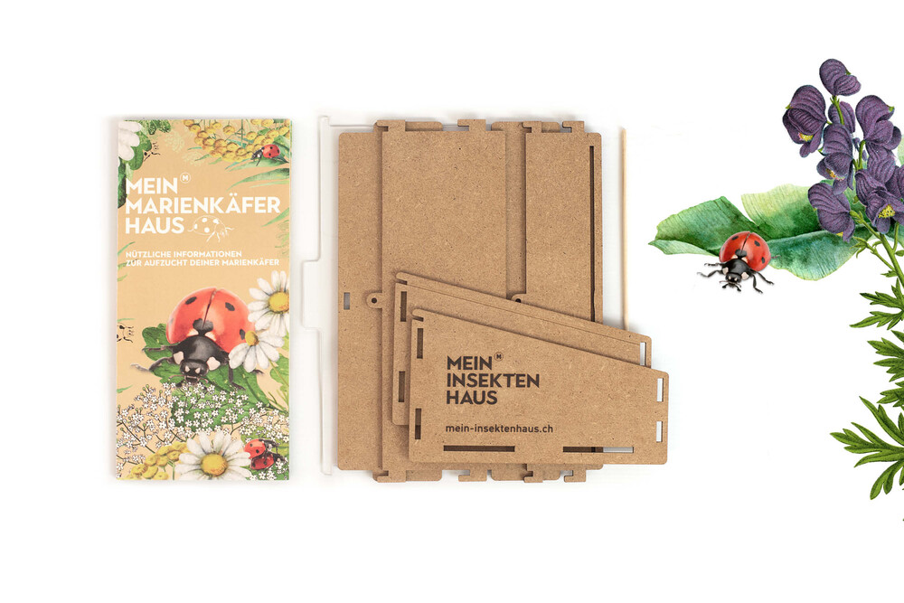 Flyer und Einzelteile des Marienkäferhauses – Marienkäferhaus, byminz Naturprodukte, Luzern