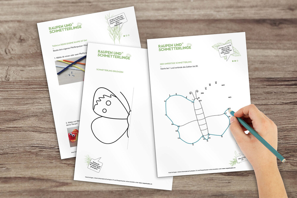 Minibook Metamorphose – «Raupe-Schmetterling» NMG-Lehrmittel