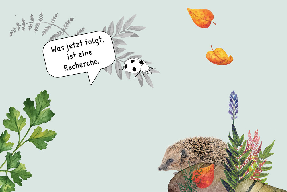 Forscherfrage – «Tierische Lebensräume» NMG-Lehrmittel