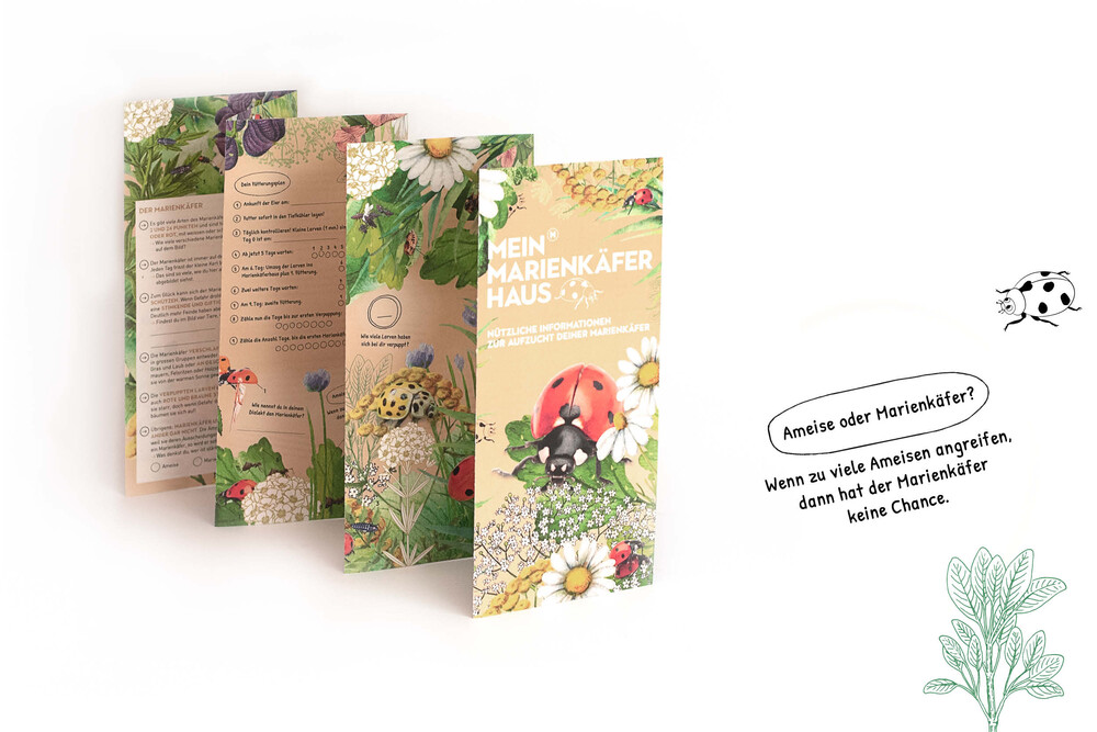 Leporello mit Informationen zur Aufzucht der Marienkäfer  – Marienkäferhaus, byminz Naturprodukte, Luzern