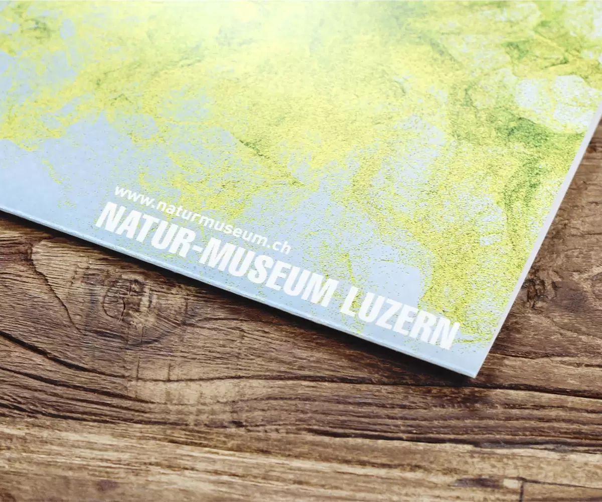 Plakat – Ausstellung «Gesundheit!», Naturmuseum Luzern, Schloss Heidegg, Museum für Urgeschichte Zug