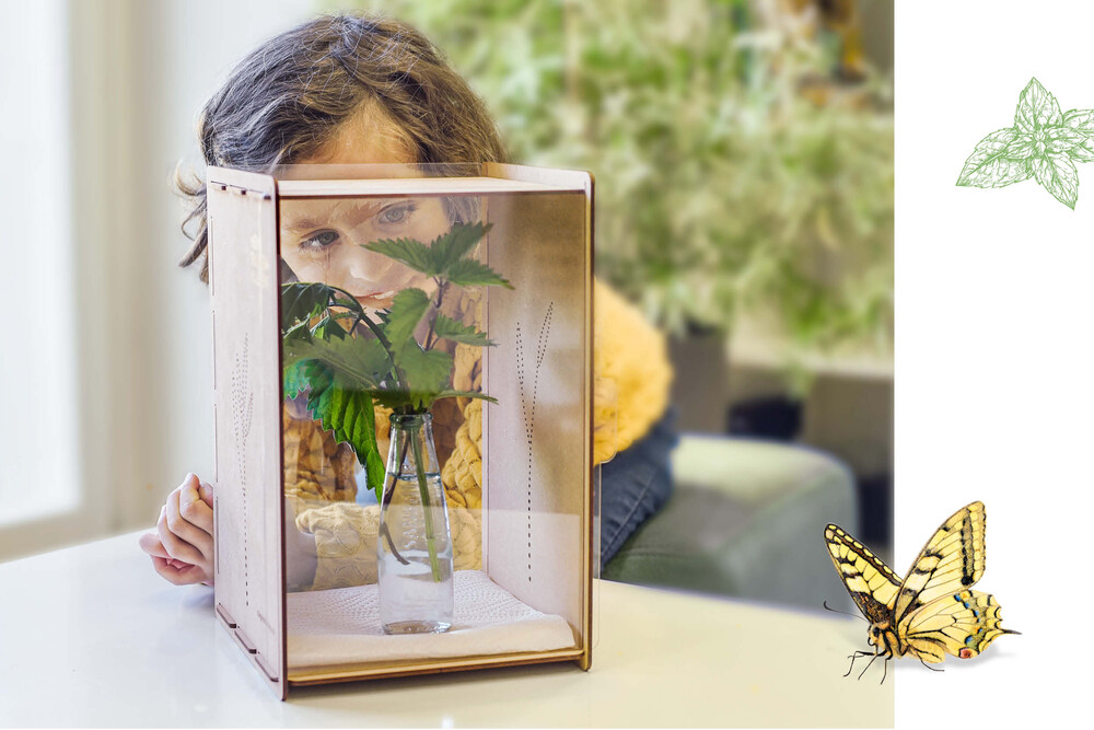 Metamorphose beobachten – «Raupe-Schmetterling» NMG-Lehrmittel