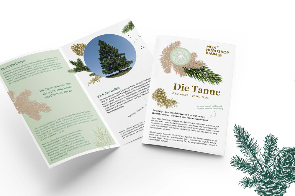 Cover Flyer «Die Tanne», Innenseiten mit Foto und Illustrationen – Jungbäume, byminz Naturprodukte, Luzern